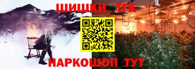 молекула духа Камышлов