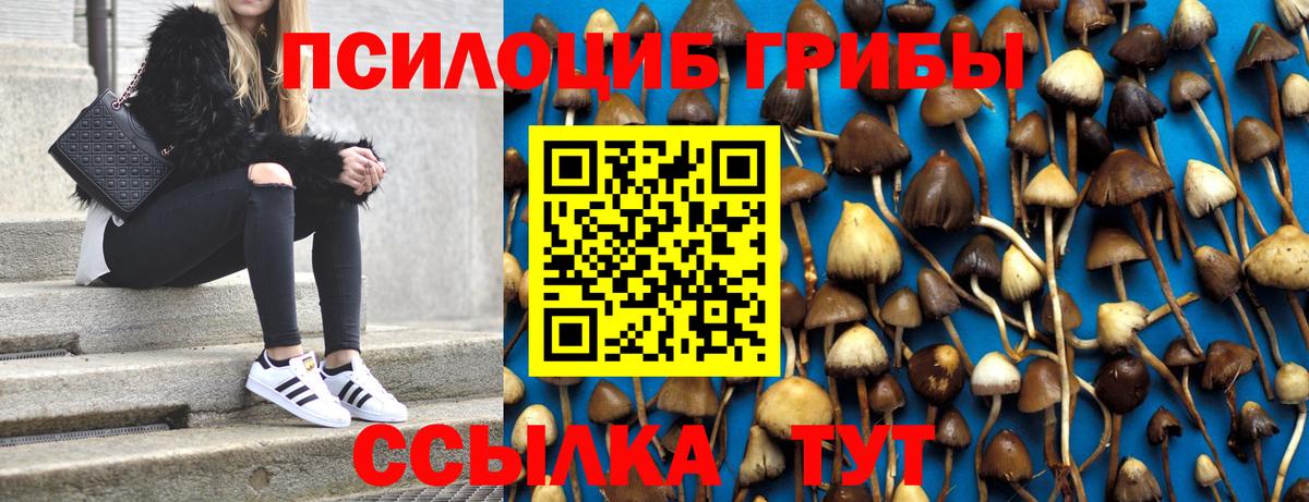 Галлюциногенные грибы Magic Shrooms Ливны